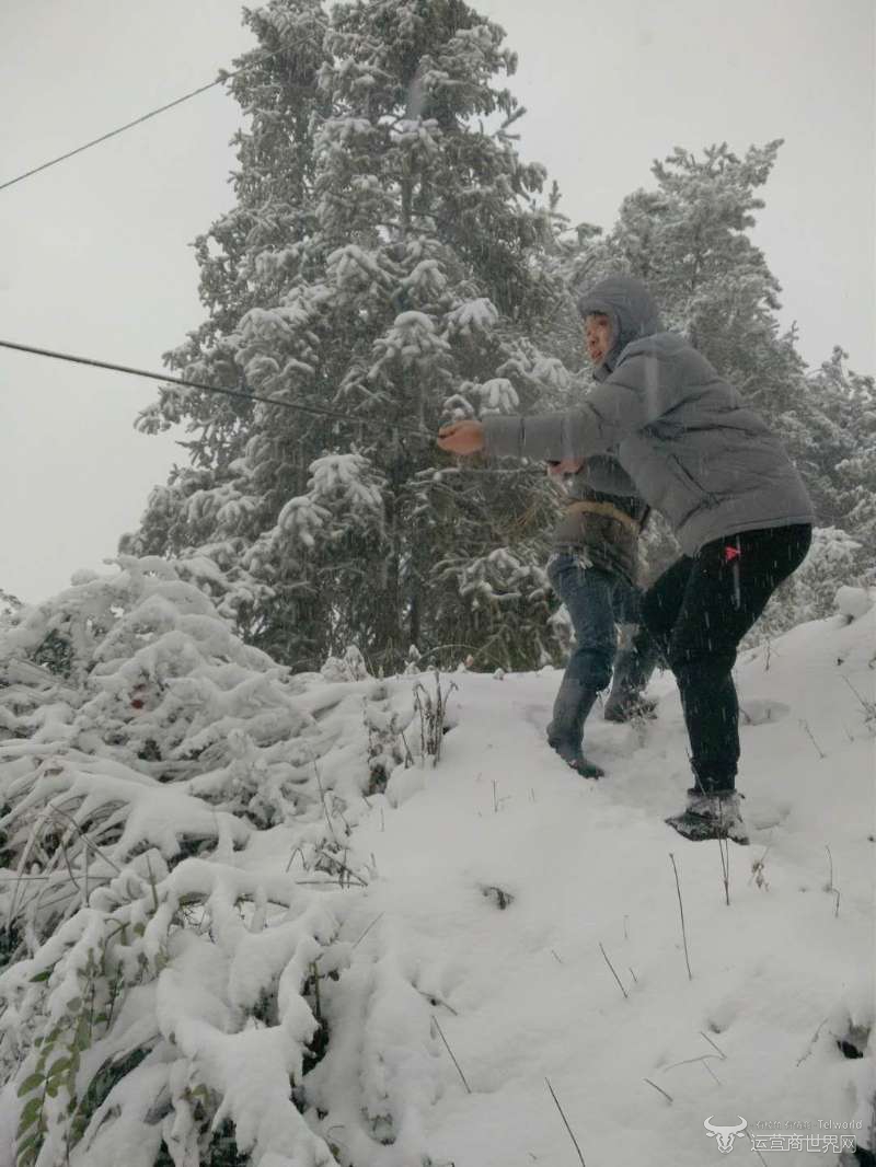 1515076889433330.jpg 1515076889433330.jpg