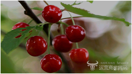 中国移动智能电视 中国移动智能电视