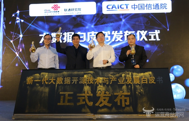 大数据白皮书.jpg