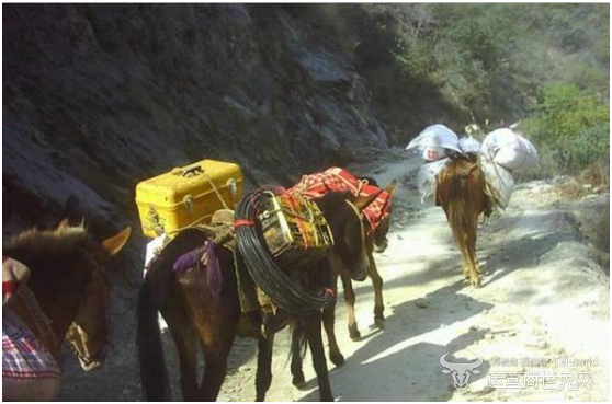 1519465512545858.png blob.png